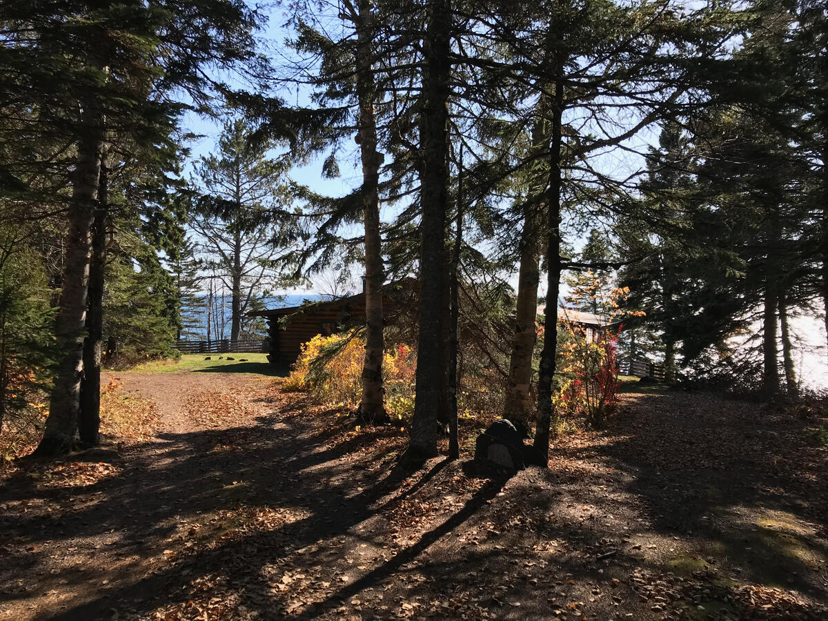 Approach to the cabin